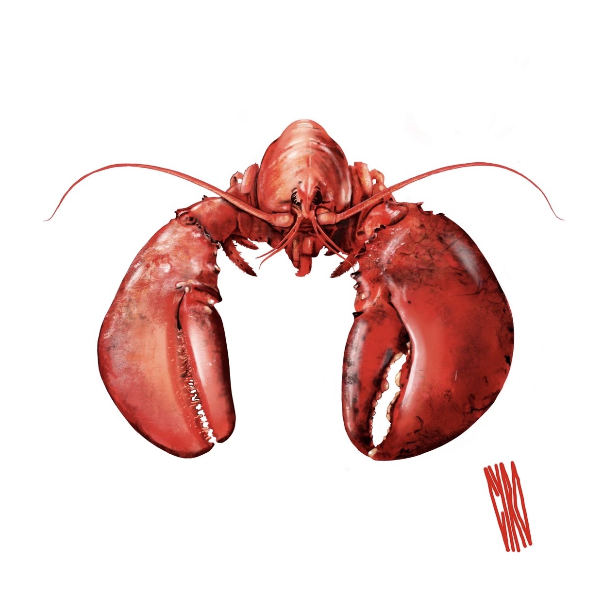 Cyro, Homard Cyro, Homard