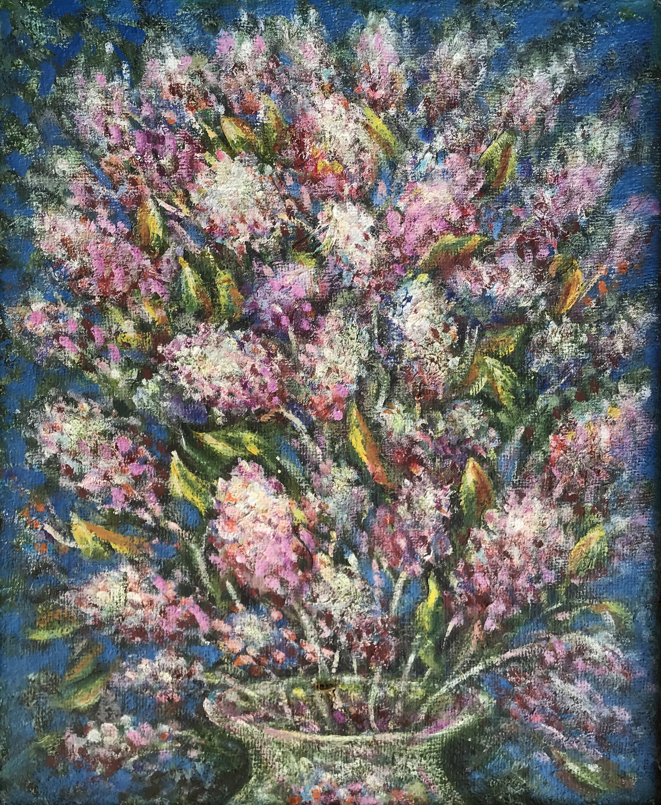 Shapoval Ivan, Lilac Shapoval Ivan, Lilac