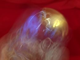 Photographie, Medusas, Tony Lian