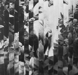 Photographie, Fragments of dream 2, Mihaela Ivanova