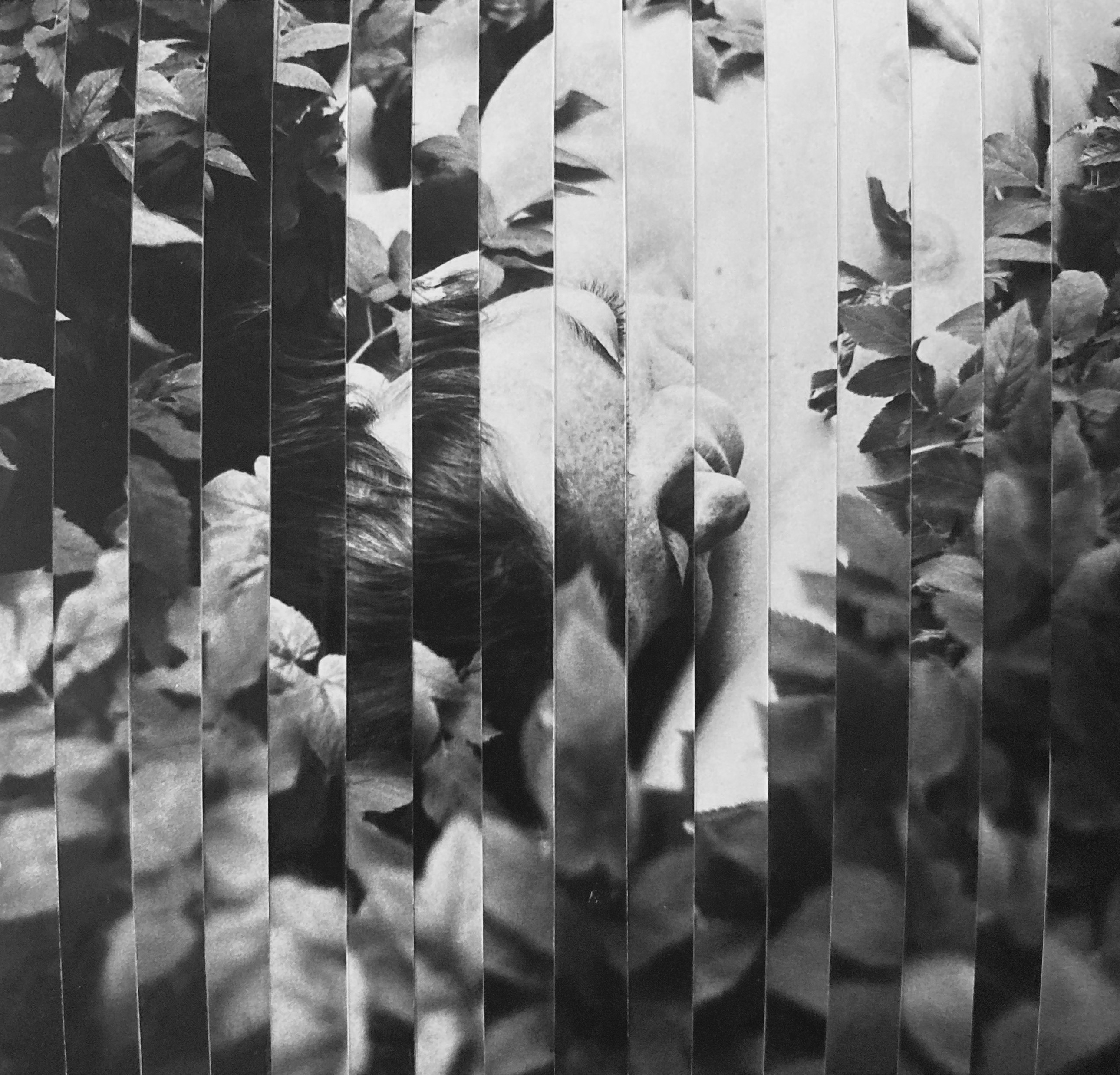 Mihaela Ivanova, Fragments of dream 2 Mihaela Ivanova, Fragments of dream 2