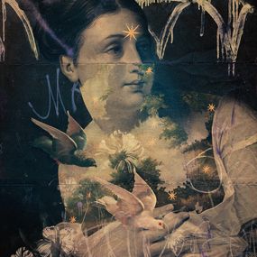 Print, Wilderness, Eduardo Recife