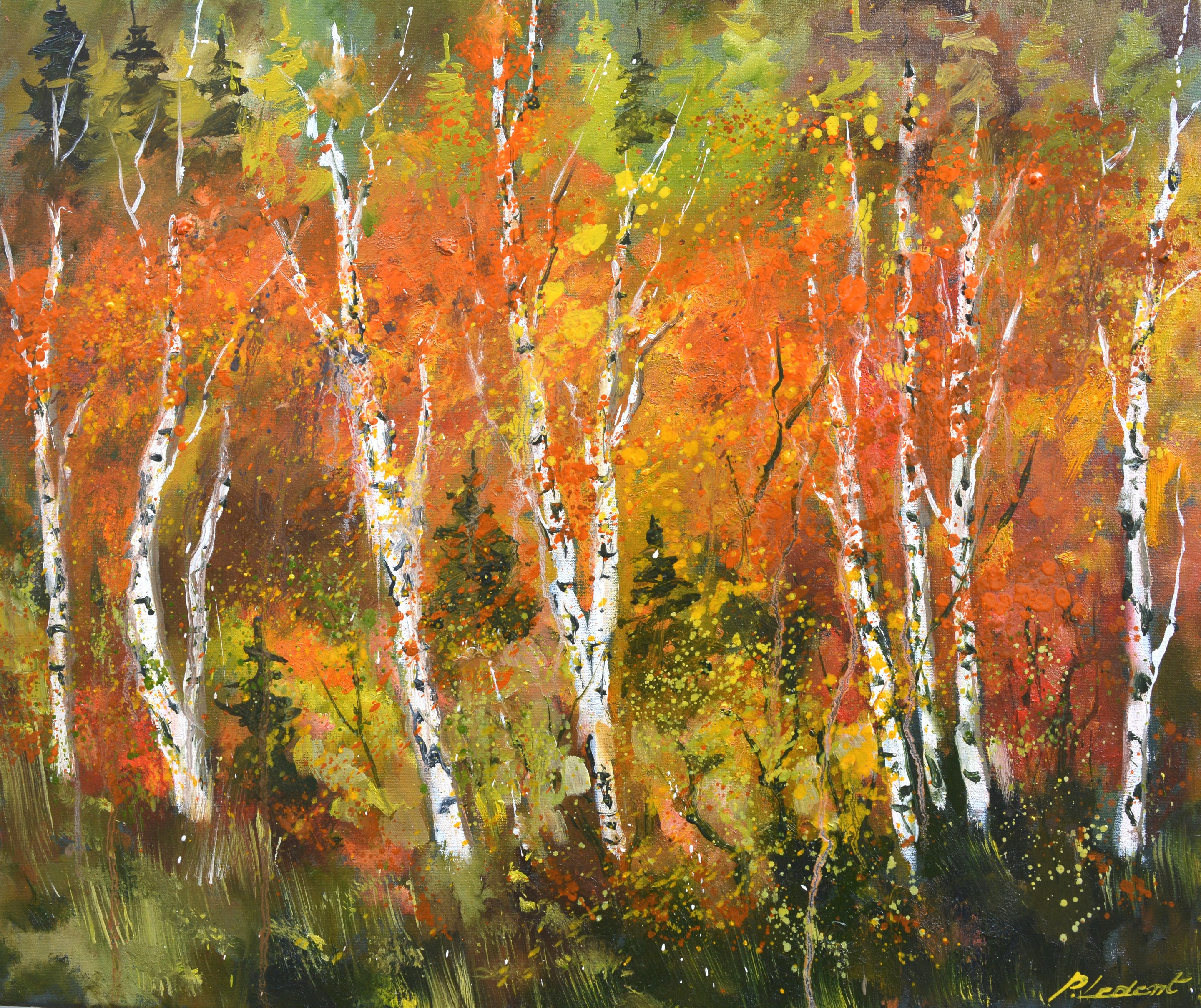 Pol Ledent, Aspentrees in autumn 7624 Pol Ledent, Aspentrees in autumn 7624