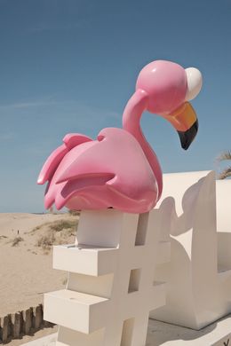 Photography, #Flamingo, Jason Pocklington