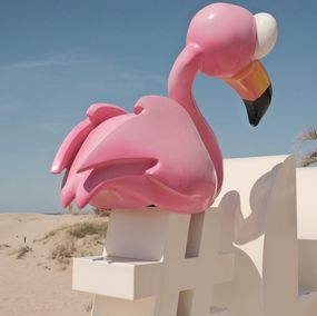 Photography, #Flamingo, Jason Pocklington
