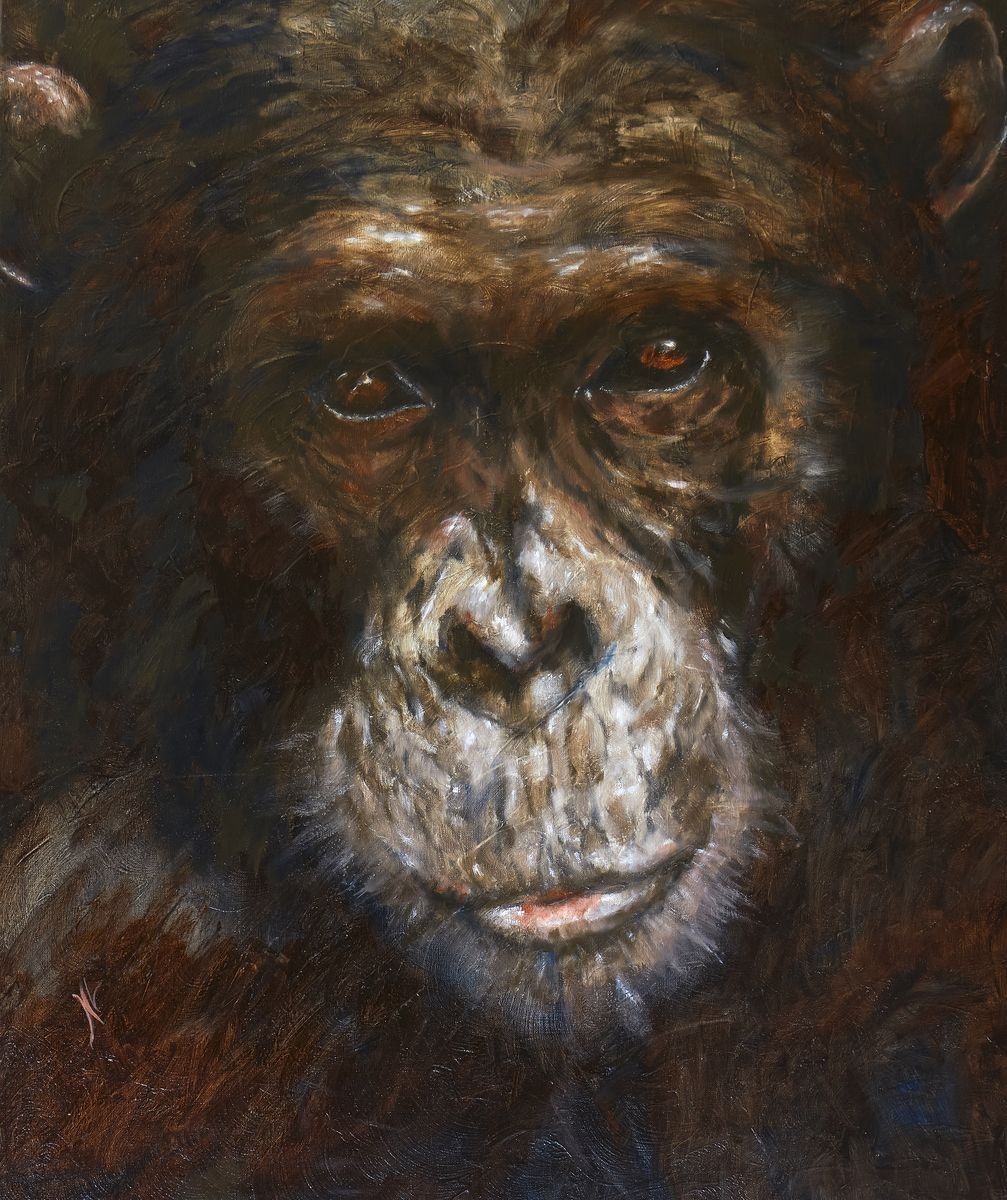 Nicole Lavigne, Chimpanzé Nicole Lavigne, Chimpanzé