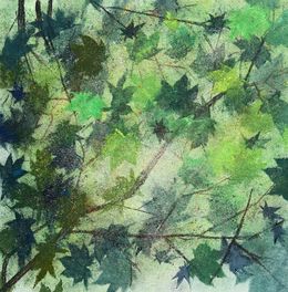 Fine Art Drawings, Looking up in forest Summer, Kenny R.K.