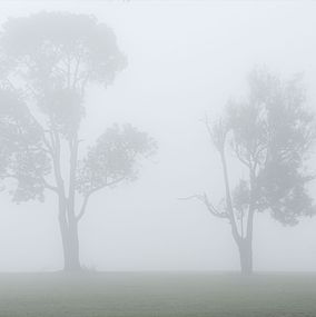 Photography, Mist #10, Rainforest, Brazil, Daniel Mansur