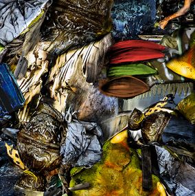Photographie, Luxo no Lixo, Alcina Morais