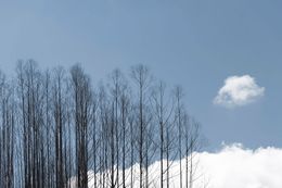 Photography, Cumulus, Daniel Mansur