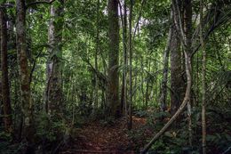 Photography, In Paradisum #3, Daniel Mansur