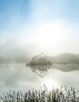 Photography, Mist #16, Daniel Mansur