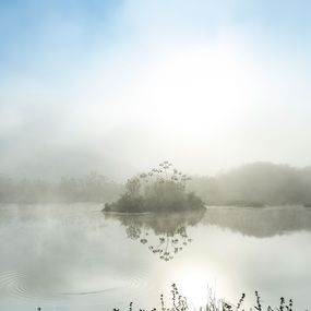 Photography, Mist #16, Daniel Mansur