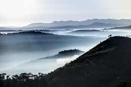 Photography, Mist #13, Brazil, Daniel Mansur