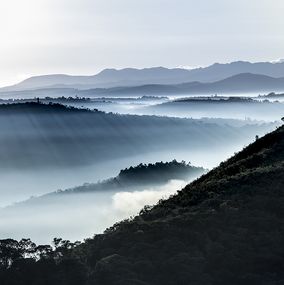 Photography, Mist #13, Brazil, Daniel Mansur