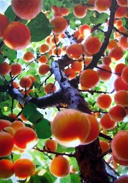 Gemälde, fruitier, Nicolaï