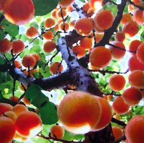 Peinture, fruitier, Nicolaï