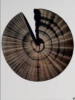 Peinture, Circle of Life 2, Marichka Shkuro