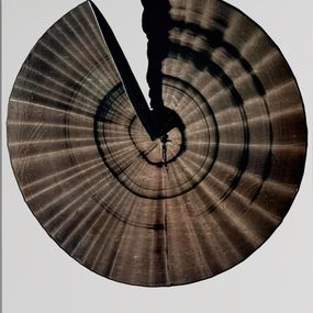 Pittura, Circle of Life 2, Marichka Shkuro