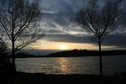 Fotografien, Rieulay coucher de soleil et deux arbres, Michael Dessein