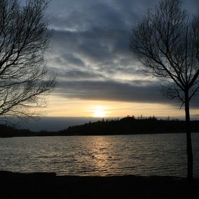 Photography, Rieulay coucher de soleil et deux arbres, Michael Dessein