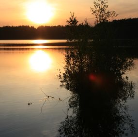 Photography, Coucher de soleil et arbuste, Michael Dessein