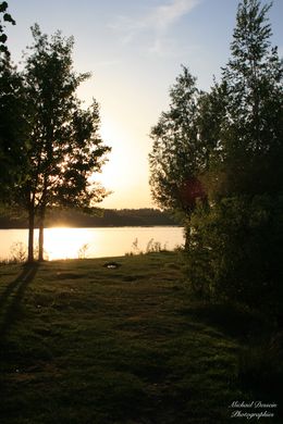 Fotografien, Deux arbres au coucher du soleil, Michael Dessein