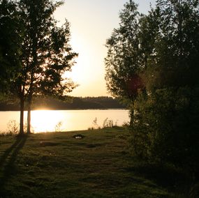 Fotografien, Deux arbres au coucher du soleil, Michael Dessein