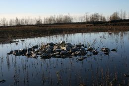 Fotografien, Pierres dans l'eau, Michael Dessein
