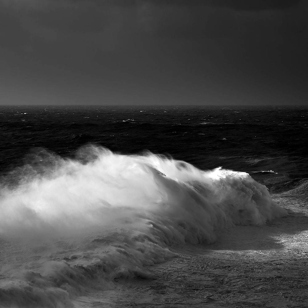 Alessandro Puccinelli, Alessandro Puccinelli - Mare #359 Alessandro Puccinelli, Alessandro Puccinelli - Mare #359