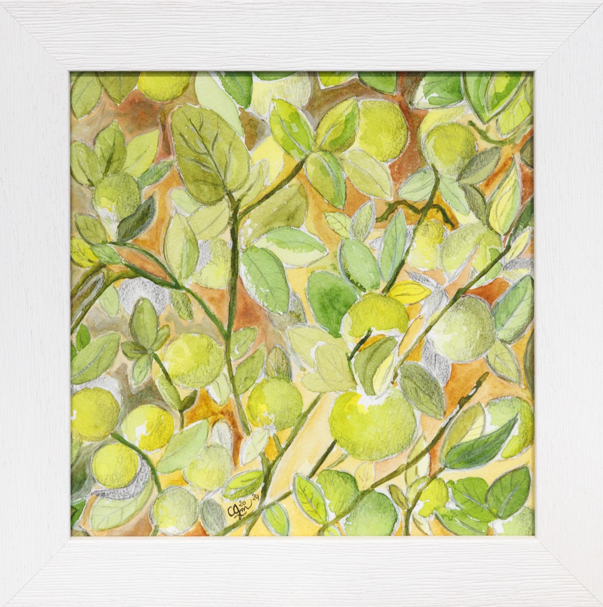 Christelle Maria, Citrons - Représentation nature Christelle Maria, Citrons - Représentation nature