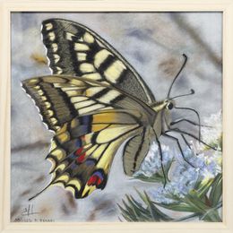 Gemälde, Papillon 5 - Série insectes réalistes, Michèle Duretête-Brodel
