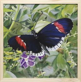 Gemälde, Papillon 4 - Série insectes réalistes, Michèle Duretête-Brodel