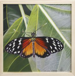 Gemälde, Papillon 1 - Série insectes réalistes, Michèle Duretête-Brodel