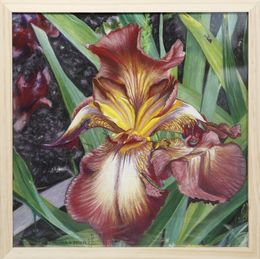 Painting, Iris Barbu - Série Florale, Michèle Duretête-Brodel