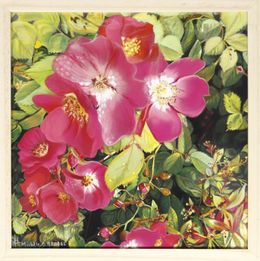 Painting, Eglantines de mon jardin - Série Florale, Michèle Duretête-Brodel