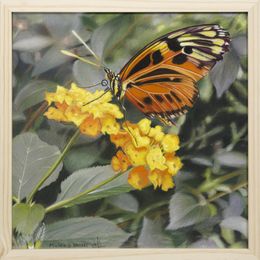 Gemälde, Papillon 2 - Série insectes réalistes, Michèle Duretête-Brodel