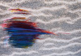 Photography, Flow pass13_4483, Yasuo Kiyonaga