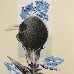 Zeichnungen, Blue-flat Leaf, Raluca Arnautu