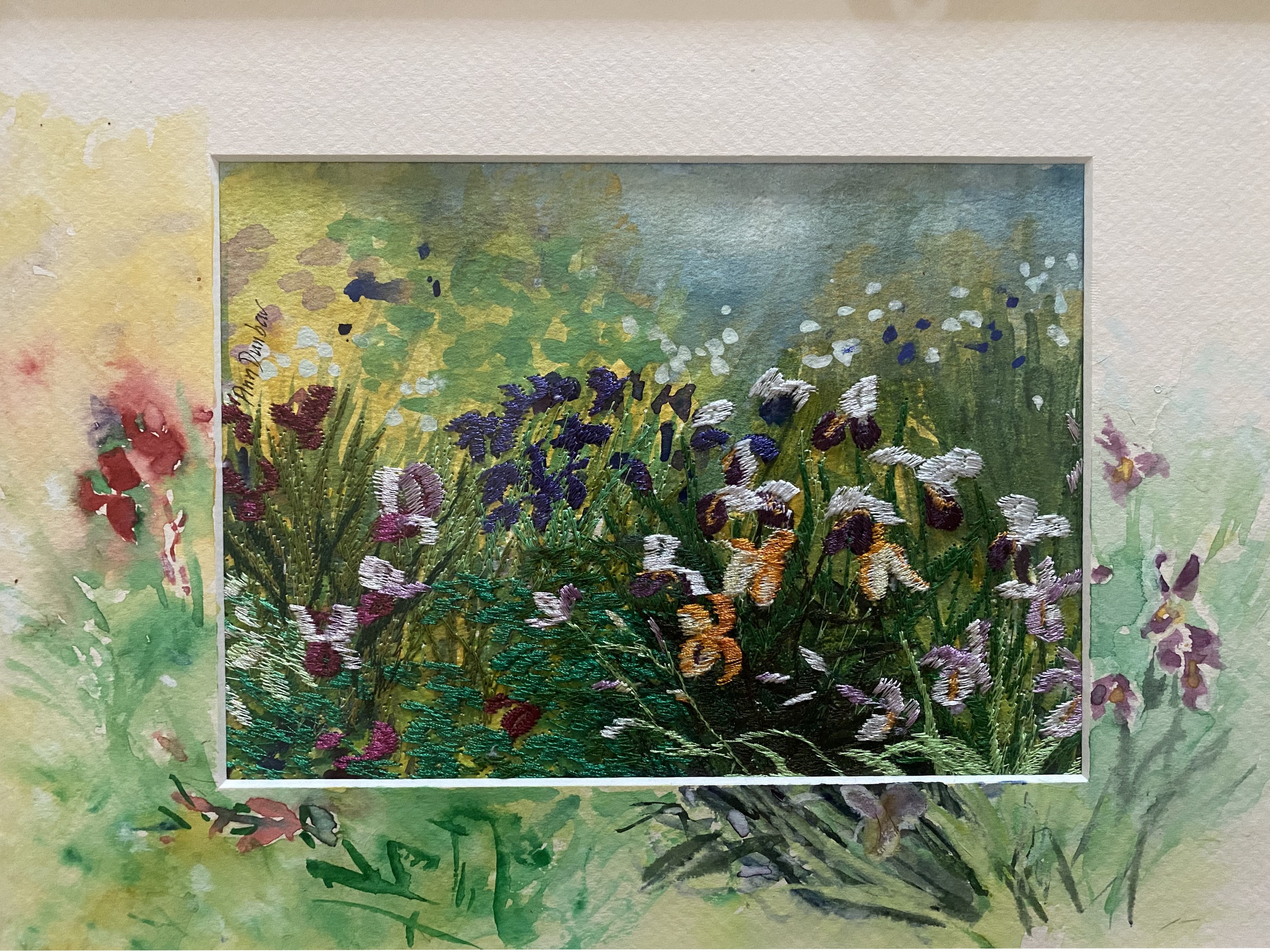 Ann Dunbar, Monet's iris Ann Dunbar, Monet's iris
