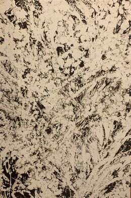 Peinture, De la nature des choses 2, Régine De Bastiani