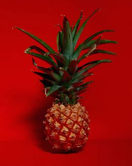 Photography, Pineapple, Leandro Franco