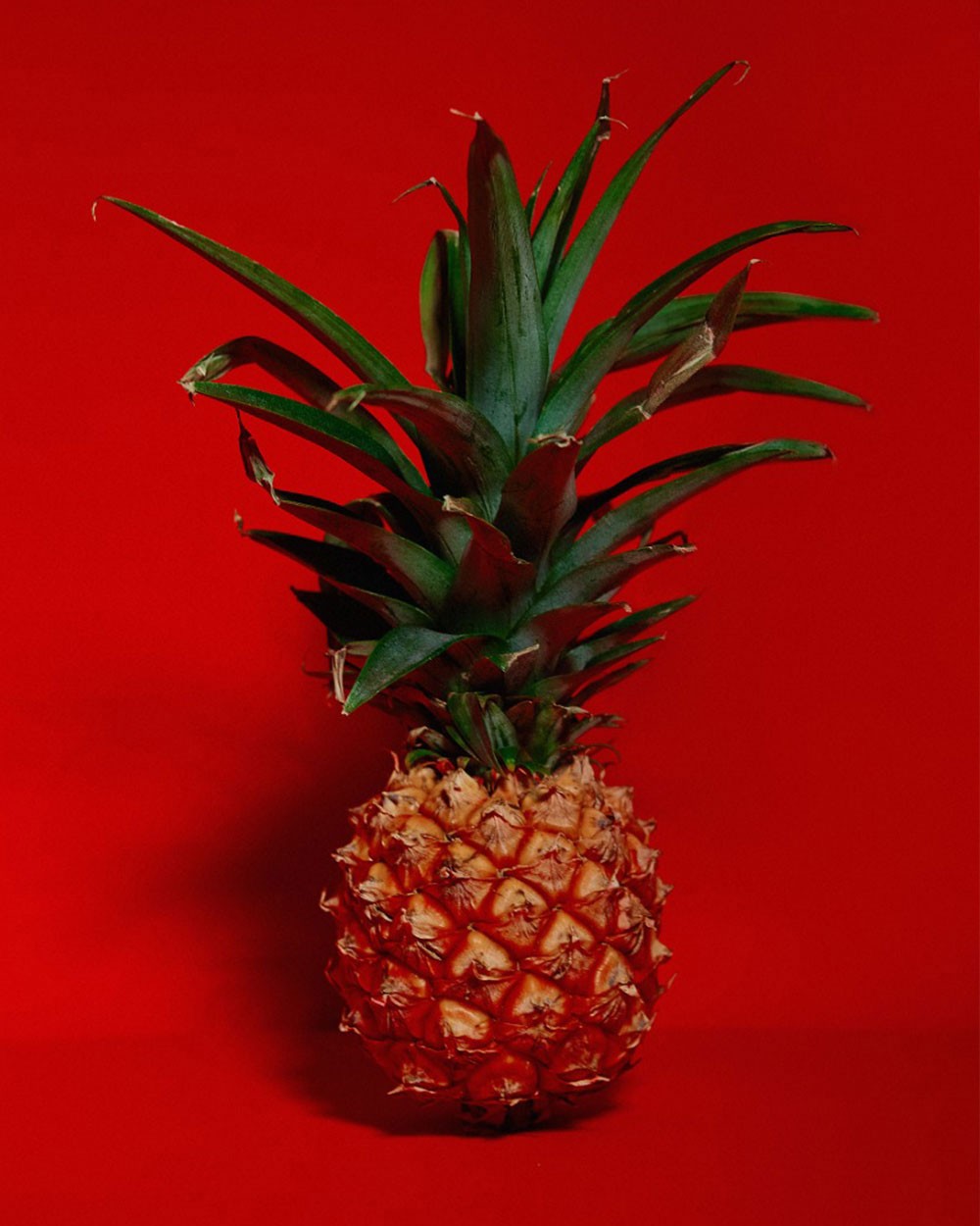Leandro Franco, Pineapple Leandro Franco, Pineapple