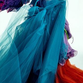 Photography, Corpo Figurado II, Leandro Franco