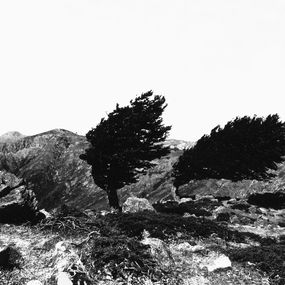 Photographie, Col de San Petru, Sophie Mabille