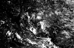 Photography, Bocca di apparo, Sophie Mabille