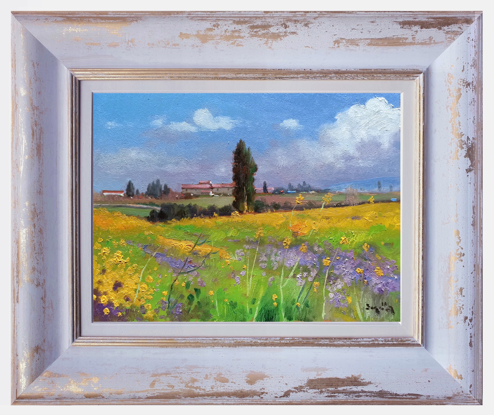 Andrea Borella, Countryside with yellow flowers - Tuscany landscape painting Andrea Borella, Countryside with yellow flowers - Tuscany landscape painting