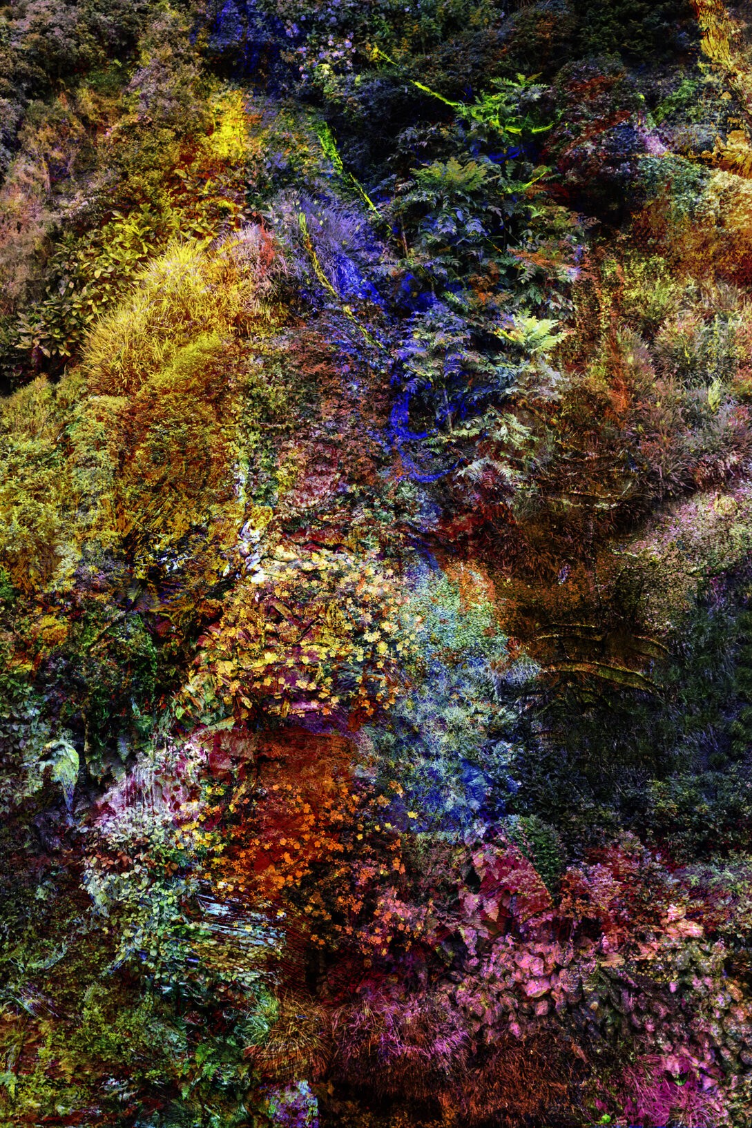 Viet Ha Tran, Wall of Nature XXII Viet Ha Tran, Wall of Nature XXII