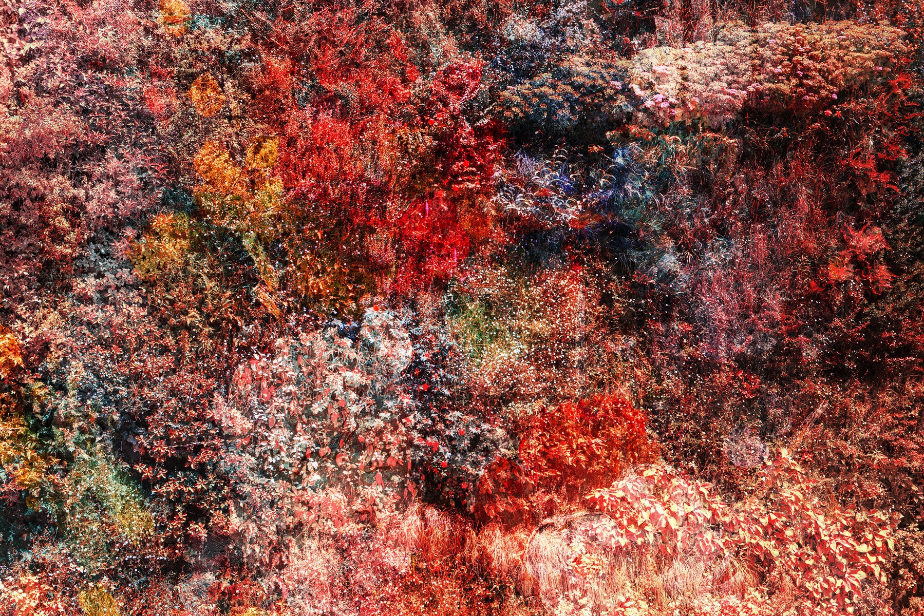 Viet Ha Tran, Wall of Nature LX Viet Ha Tran, Wall of Nature LX