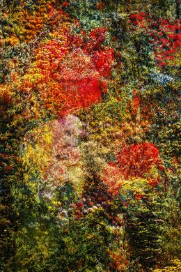 Photography, Wall of Nature LXIV, Viet Ha Tran